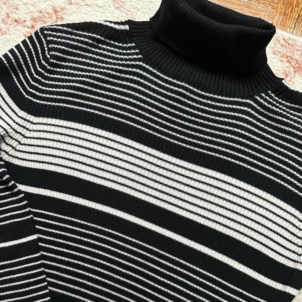 Topshop Black and White Striped Turtleneck Sweater